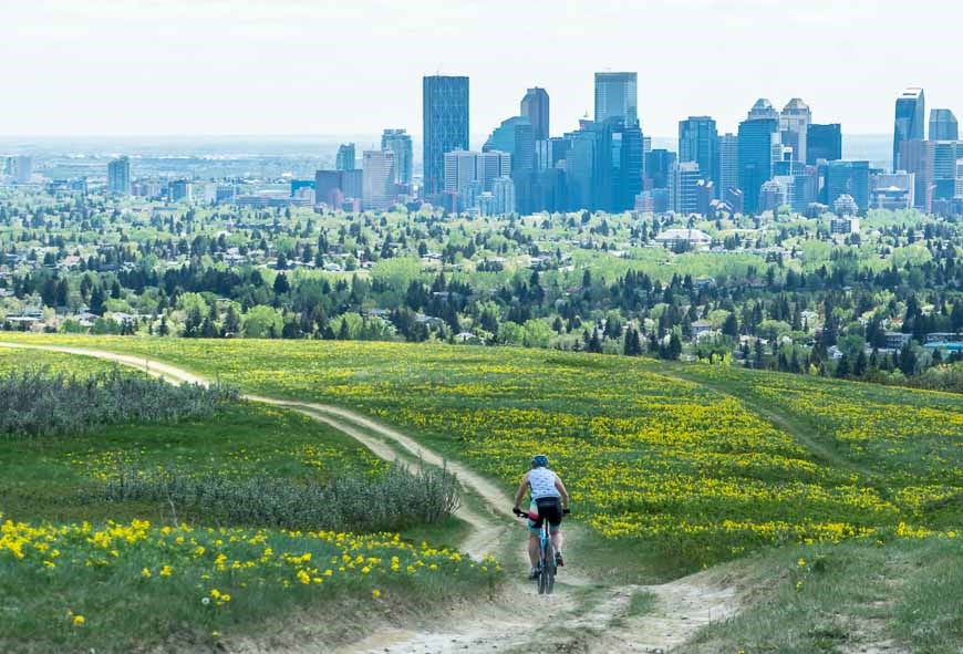 North Haven Calgary Real Estate | Homes for Sale NW Calgary